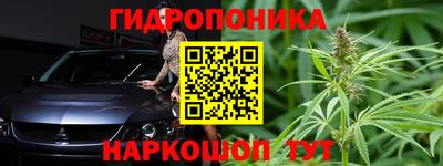 индика Партизанск