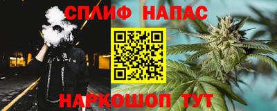 индика Партизанск