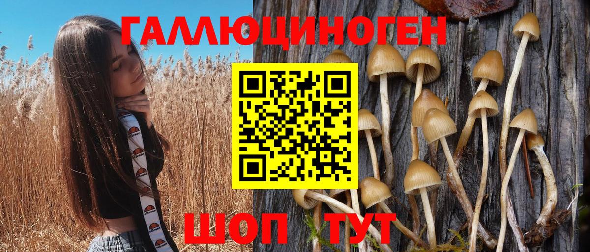 Семилуки  Псилоцибиновые грибы GOLDEN TEACHER  Псилоцибиновые грибы GOLDEN TEACHER  Вход с VPN 